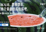 娱乐吃瓜文案去哪里找啊,热门平台攻略一览