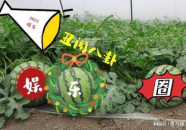 娱乐吃大瓜,明星们的“大瓜”盛宴
