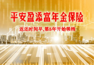 平安盈,全方位保障，智慧生活新选择”