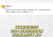 娱乐圈吃瓜动态视频大全,吃瓜视频大全，带你领略明星幕后故事